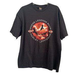 Vintage Harley-Davidson Woodstock IL T-Shirt XL Black 100% Cotton Graphic Tee